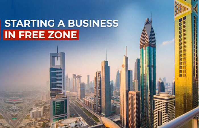 Dubai Free Zone companies